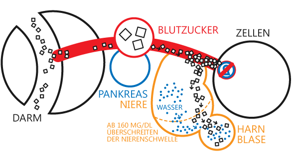 Hyperosmolare Form der Unterzuckerung
