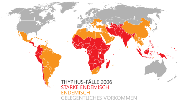 Weltweite Fälle von Thyphus